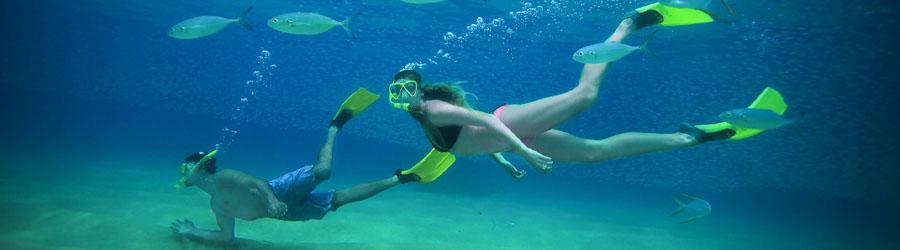 Cabo Snorkel Express 8