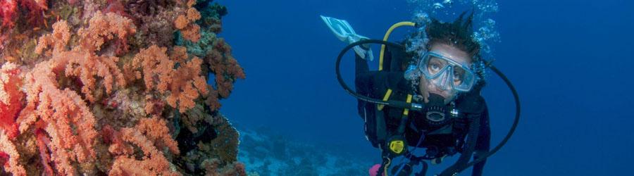 Santa Maria & Chileno Bay 1