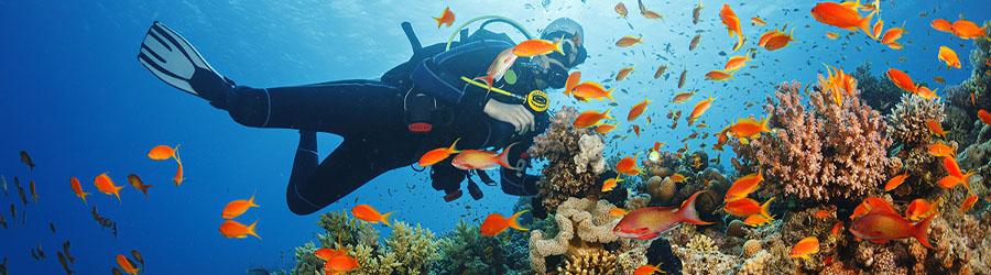 Santa Maria & Chileno Bay 6