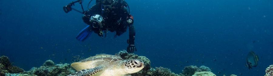 Santa Maria & Chileno Bay 7