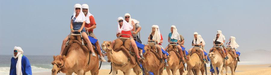 Cabo Camel Ride Adventure 1