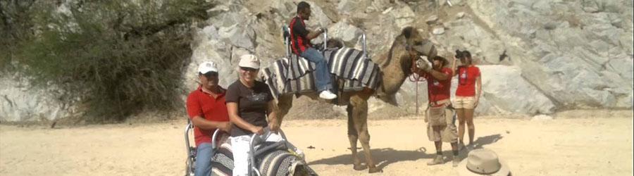 Cabo Camel Ride Adventure 3