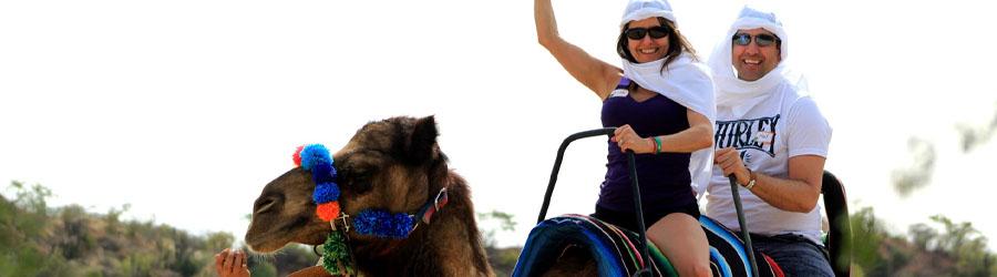 Cabo Camel Ride Adventure 5