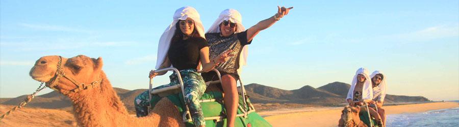 Cabo Camel Ride Adventure 8