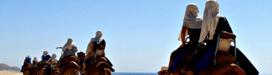 4x4 Outback Safari & Camel Ride Cabo 2