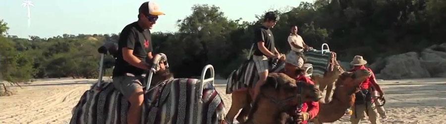 4x4 Outback Safari & Camel Ride Cabo 7