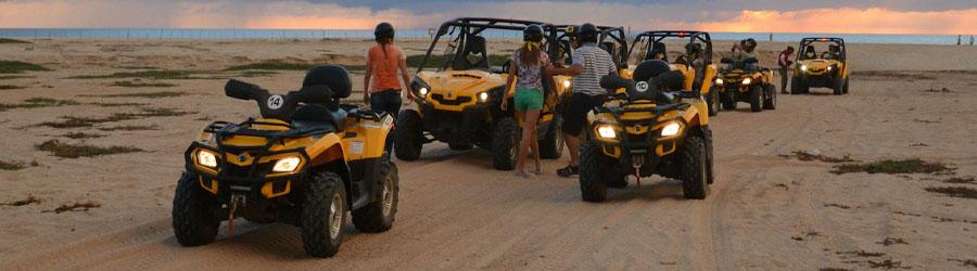 ATV & Camel Quest Wild Canyon Adventure 2