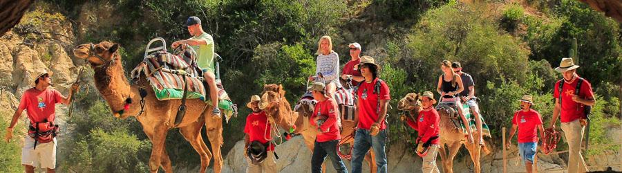 ATV & Camel Quest Wild Canyon Adventure 4