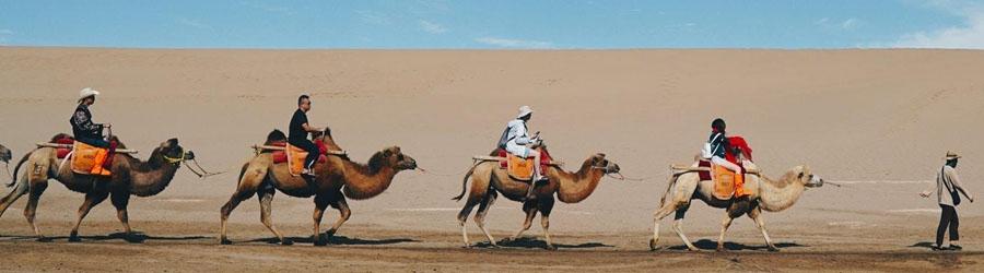 ATV & Camel Quest Wild Canyon Adventure 7