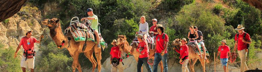 Los Cabos Camel Ride & Zip Lining Adventure 4