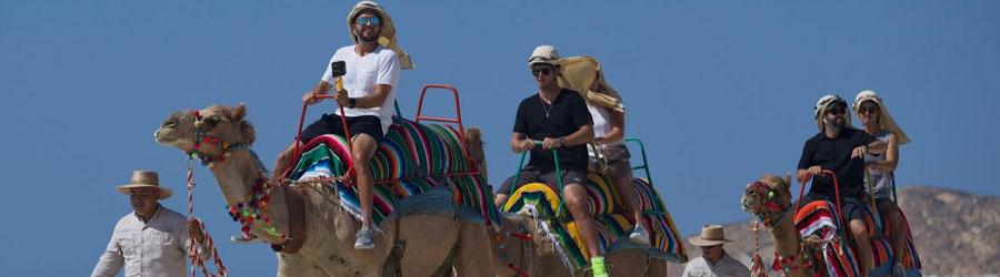 Los Cabos Camel Ride & Zip Lining Adventure 7