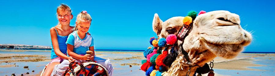 Los Cabos Camel Ride & Zip Lining Adventure 8