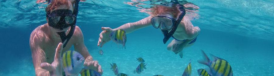 Santa Maria Cove & Chileno Bay Snorkeling 2