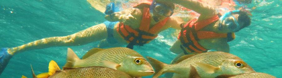 Santa Maria Cove & Chileno Bay Snorkeling 8