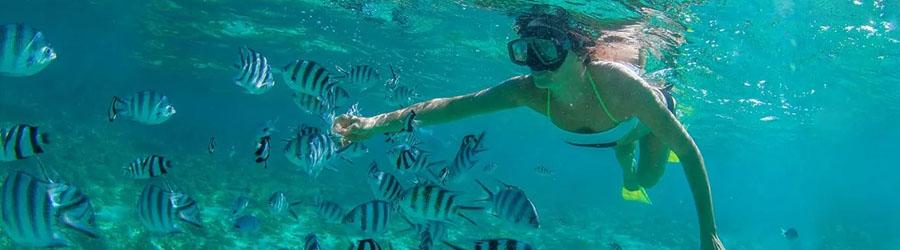 Cabo San Lucas Catamaran Snorkeling & City Tour Adventure 3