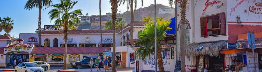 Cabo San Lucas Catamaran Snorkeling & City Tour Adventure 5