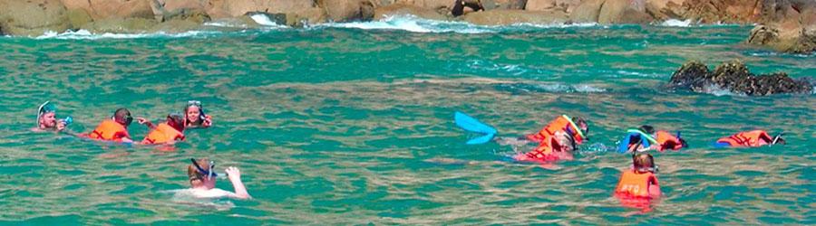 Cabo San Lucas Catamaran Snorkeling & City Tour Adventure 7