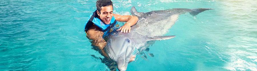 Los Cabos Dolphin Encounter 1