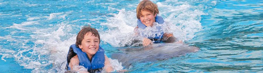 Los Cabos Dolphin Encounter 4