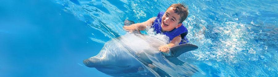 Los Cabos Dolphin Encounter 6