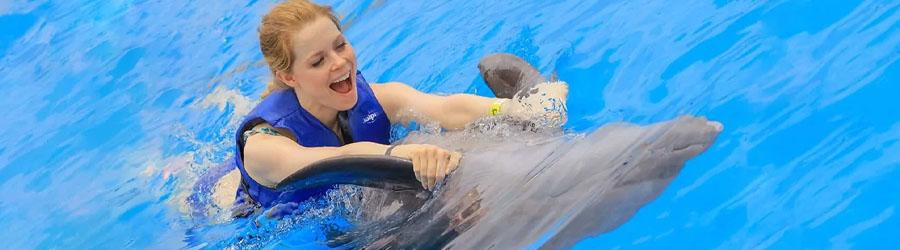 Los Cabos Dolphin Encounter 7