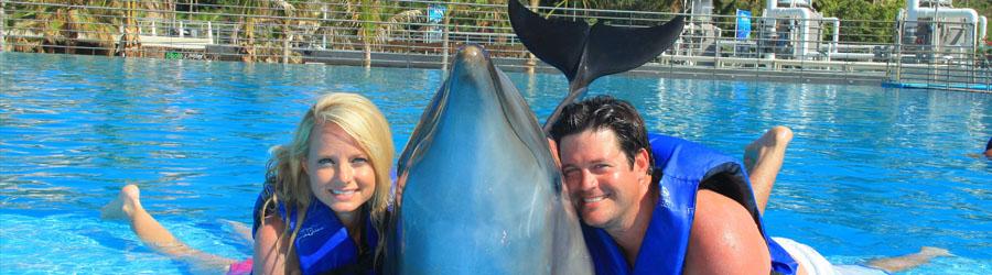 Los Cabos Dolphin Encounter 8
