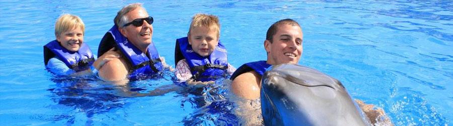 Cabo Dolphin Encounter – Family Dolphin Swim 8