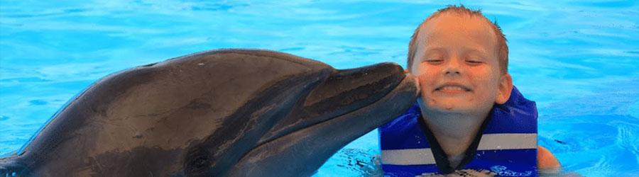 Cabo Dolphin Royal Swim Plus 1