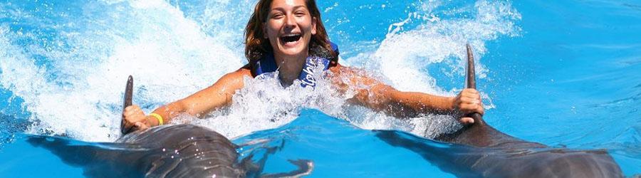 Cabo Dolphin Royal Swim Plus 4