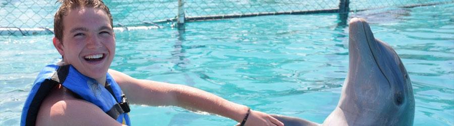 Cabo Dolphin Royal Swim Plus 5