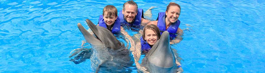 Cabo Dolphin Royal Swim Plus 6