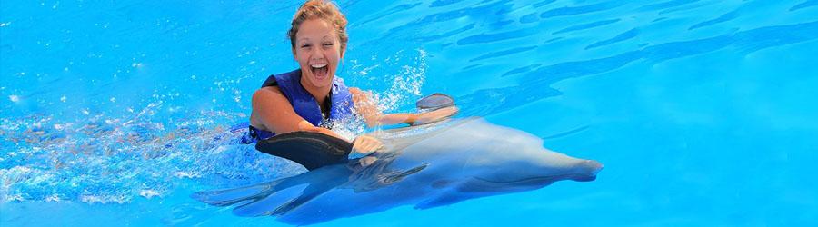 Los Cabos Dolphin Swim Adventure – Swim & Ride 2