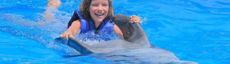 Los Cabos Dolphin Swim Adventure – Swim & Ride 7