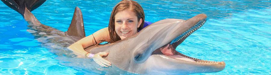 Los Cabos Dolphin Swim Adventure – Swim & Ride 8