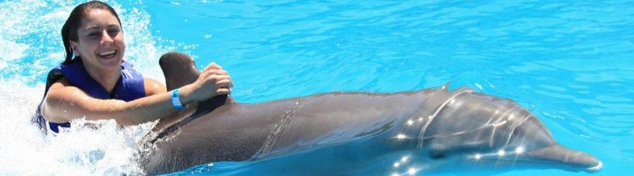 Wild Canyon Zip Lines + Cabo Dolphin Swim Combo 1