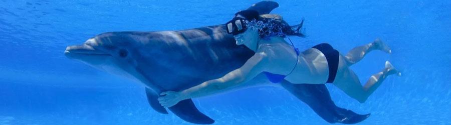 Wild Canyon Zip Lines + Cabo Dolphin Swim Combo 5