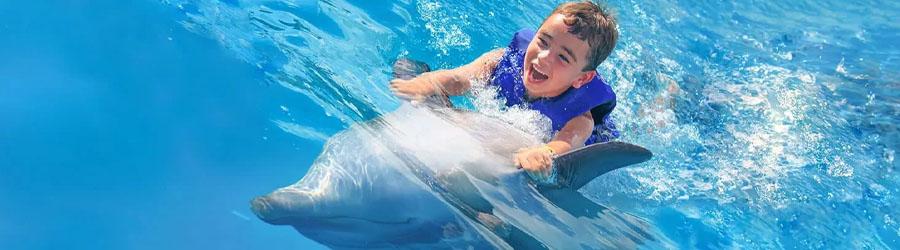 Los Cabos Monster Zip Lines & Dolphin Swim Encounter 4