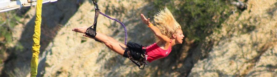 Los Cabos Monster Zip Lines & Dolphin Swim Encounter 6