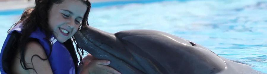 Los Cabos Monster Zip Lines & Dolphin Swim Encounter 7