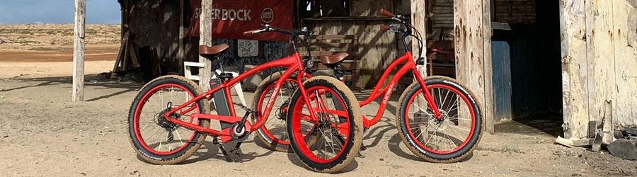 Electric Beach Bike 2