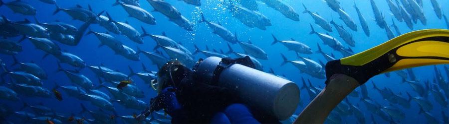 Espiritu Santo Dive 7