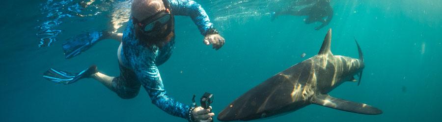 Gordo Banks Expedition 4