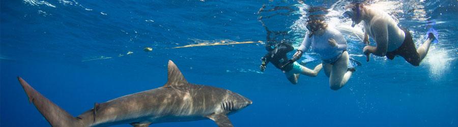 Gordo Banks Expedition 5