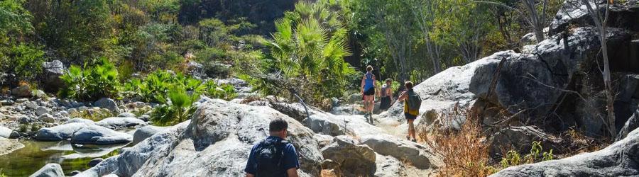 Baja Desert and Waterfall Hiking Adventure Tour 1