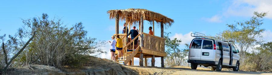 Baja Desert and Waterfall Hiking Adventure Tour 6