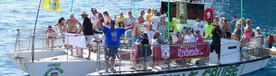 Cabo Booze Cruise Whale Watching 3
