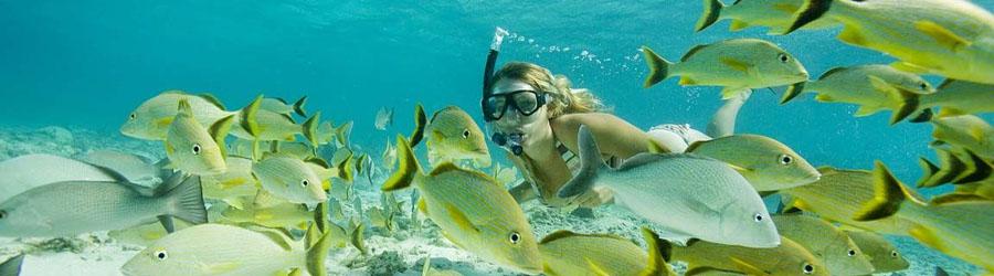 Cabo Jungle Cruise Party Boat Snorkeling Tour 8