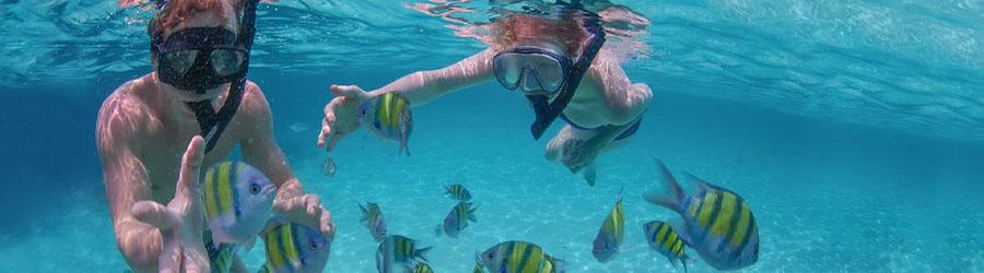 La Princesa Catamaran Sailing & Snorkeling Santa Maria Beach 6