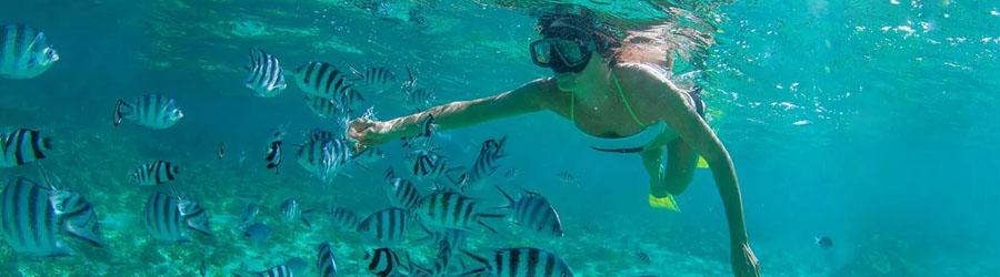 La Princesa Catamaran Sailing & Snorkeling Santa Maria Beach 7