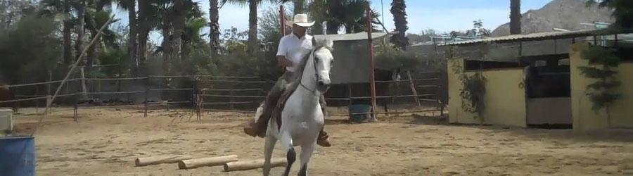 Los Encantos East Cape Horseback Ride 4
